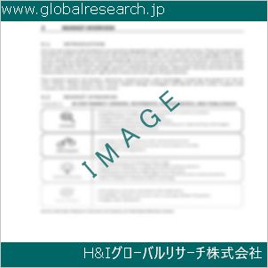グローバルリサーチ調査資料のイメージ